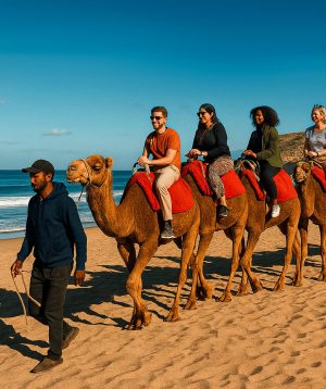 Sunrise Serenity Camel Ride