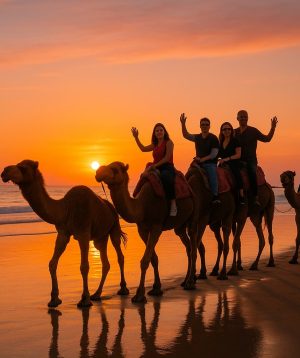 Golden Hour Camel Ride