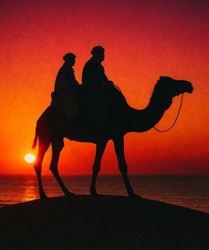 Private VIP Camel Experience